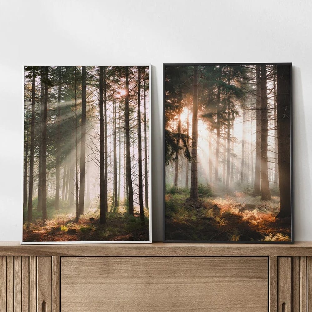 The Forest Sunshine Trio