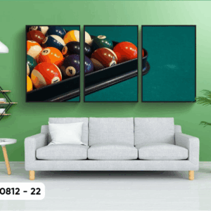Bộ 3 Tranh Decor Bida - DCT0812 - 22