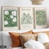Bộ 3 Tranh Decor Lá Cây - X2203