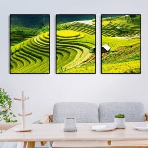 Bộ 3 Tranh Ruộng Bậc Thang