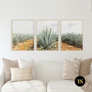 Set of 3 Green Cactus
