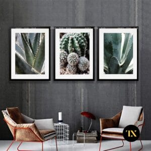 Cactus Painting Set