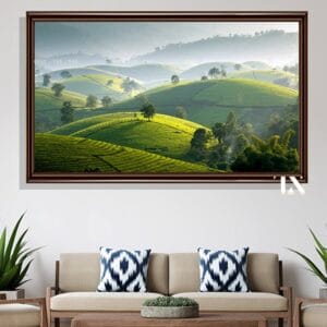 Painting of Phu Tho Tea Hills
