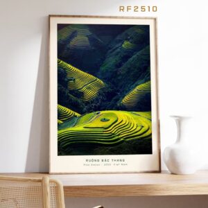 Terraced Rice Fields Painting - RF2510