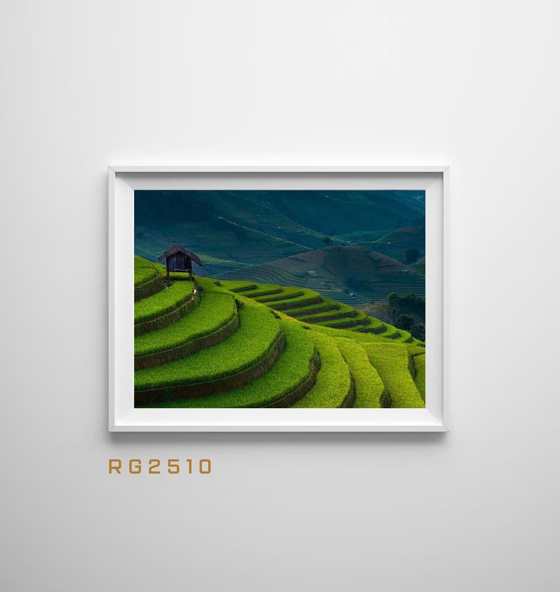Tranh Ruộng Bậc Thang - RG2510