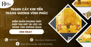 Tranh cây kim tiền tráng gương Vĩnh Phúc